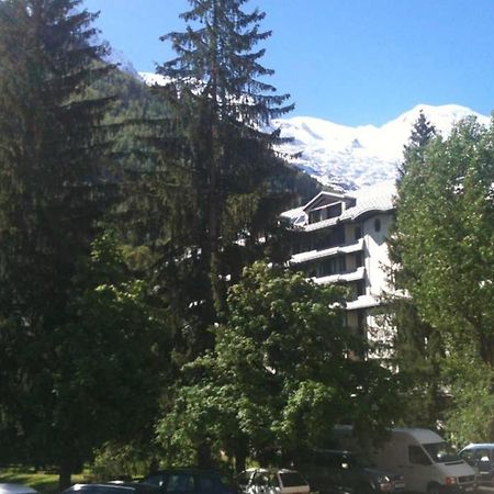 Appartement Chamonix - Vue Mont Blanc المظهر الخارجي الصورة